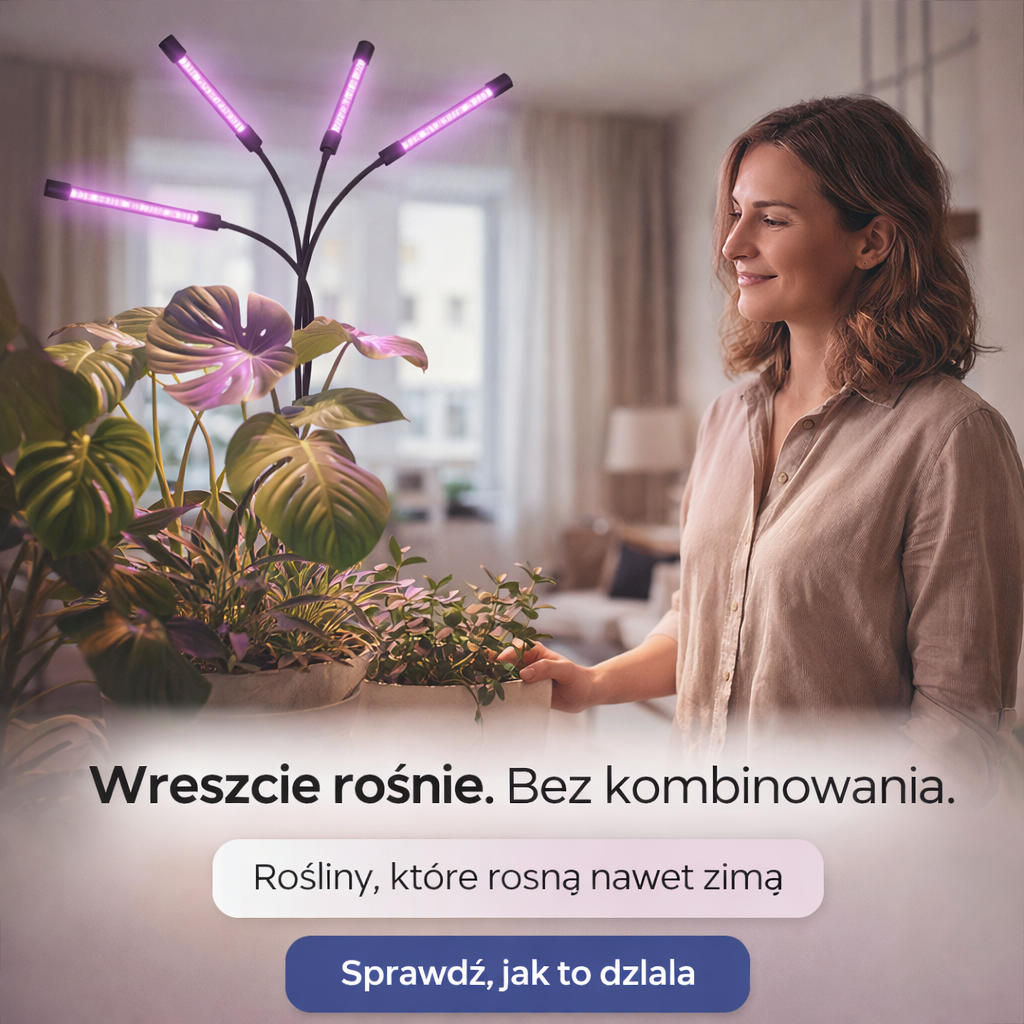 Lampa UV do roślin świecąca nad roślinami